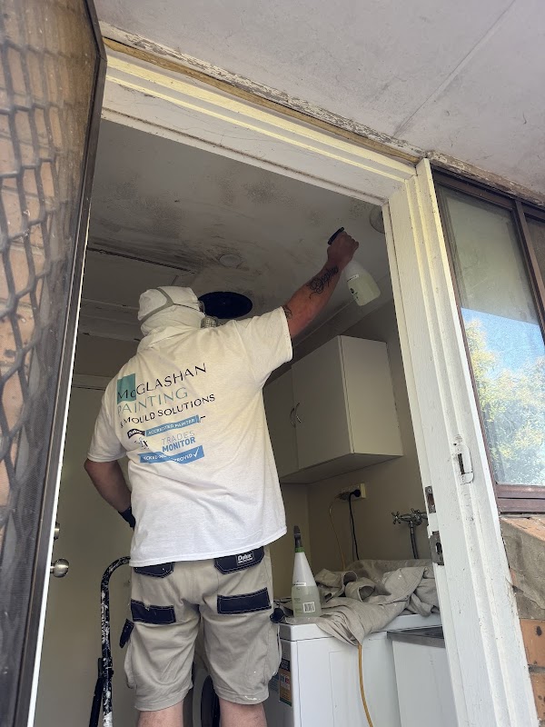 McGlashan Mould Removal & Painting photo 3