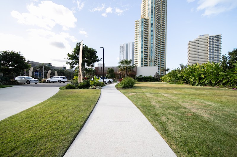 MD Landscaping, Irrigation and Maintenance project 6