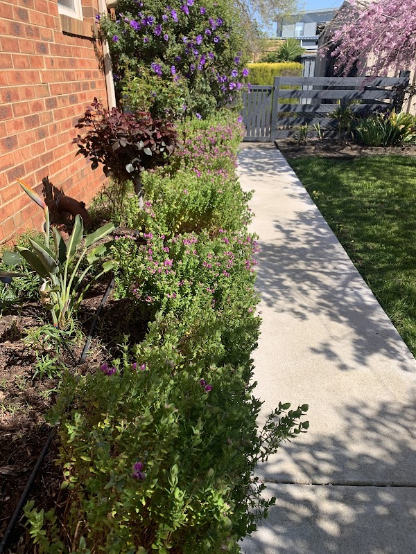 Melbourne Concrete Driveways project 10