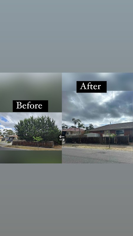 Melbourne Greenworks & Landscaping project 8