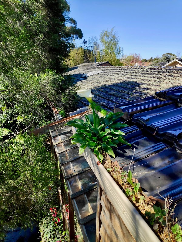 Middleton's Cleaning Services PTY LTD project 7