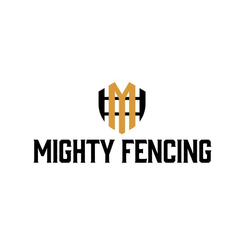 Mighty Fencing project 10