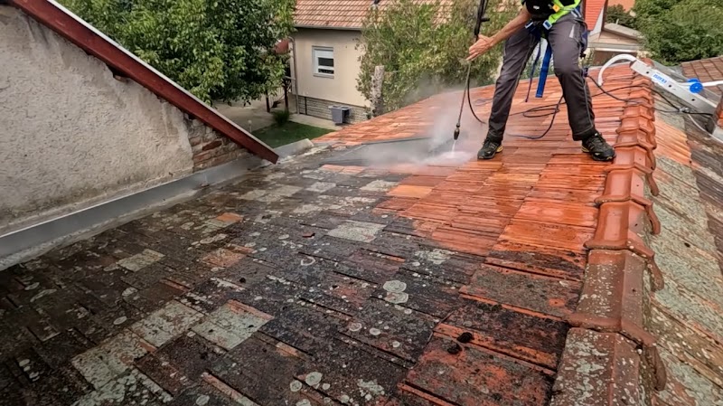 Milano Sydney Roof Painting work 3