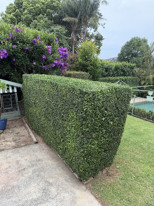 MK gardening services work 1