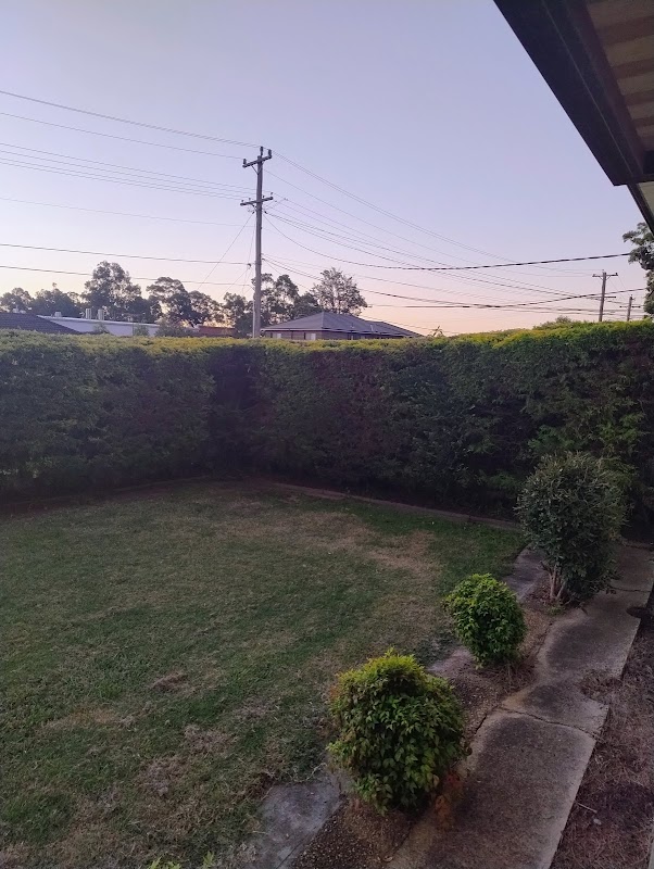 MK gardening services project 8