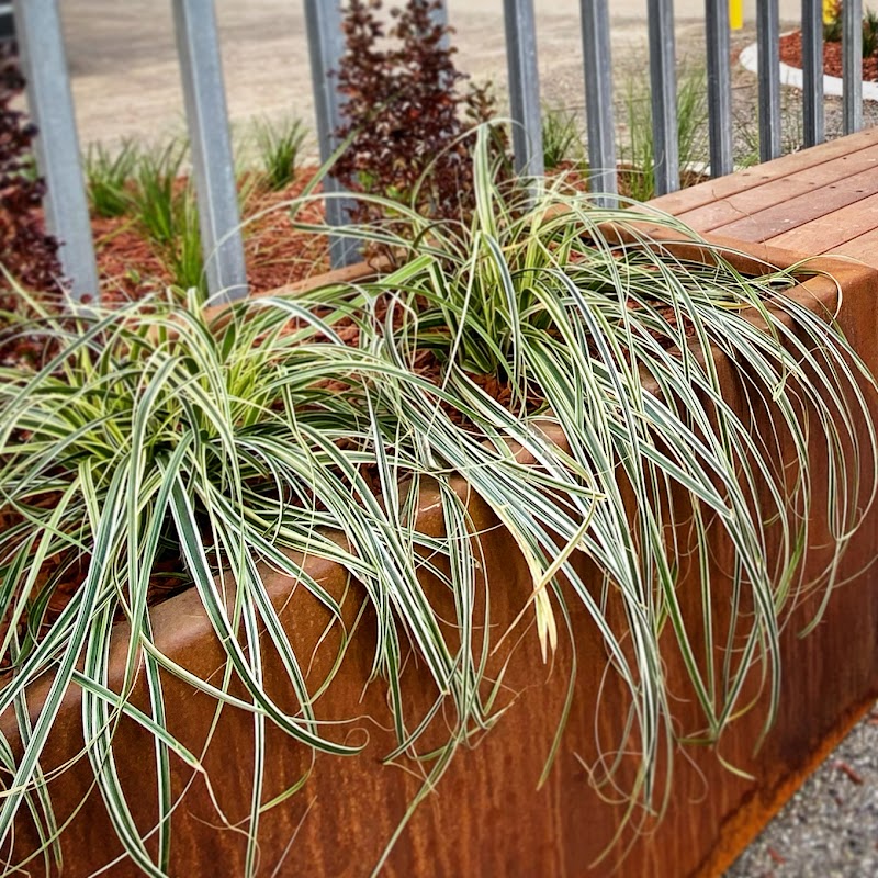 MK Gardens project 7