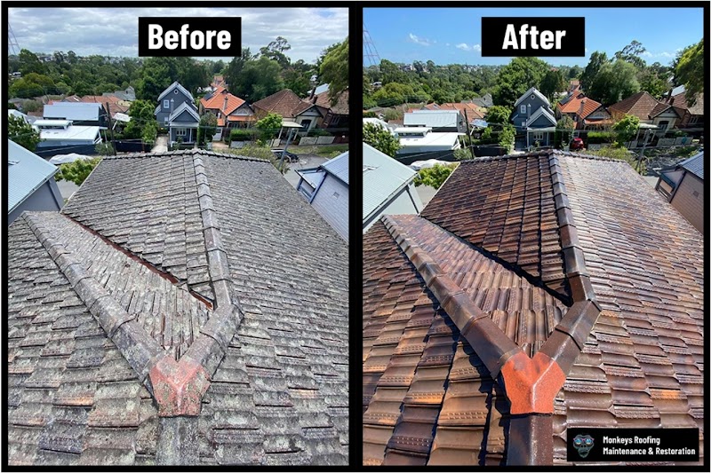 Monkeys Roofing work 1