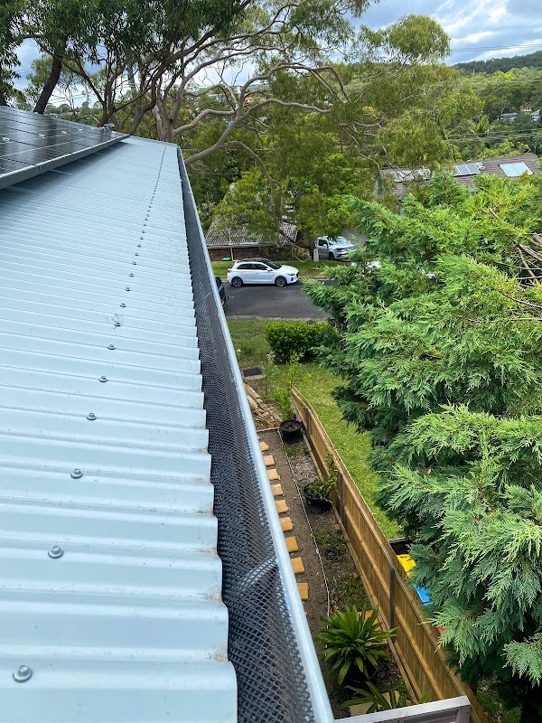 Monkeys Roofing work 2