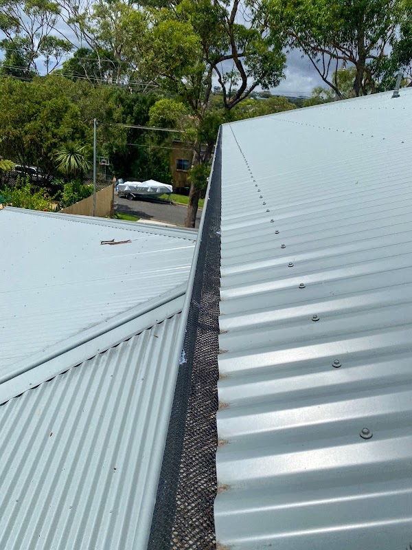 Monkeys Roofing work 3