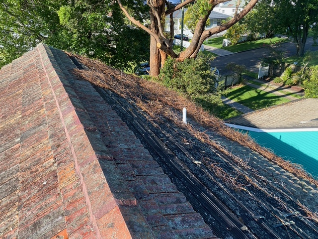 Monkeys Roofing work 4