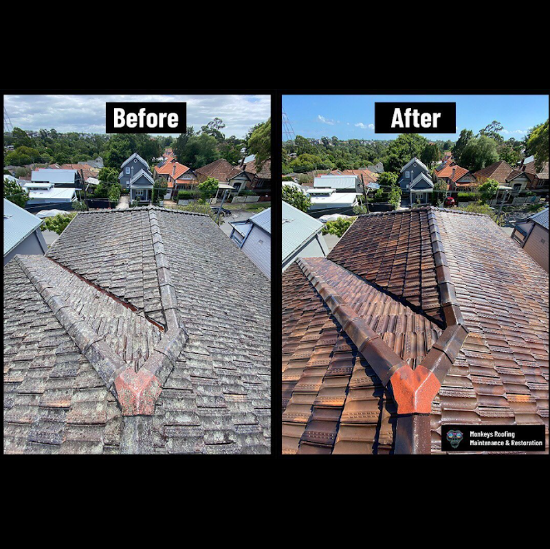 Monkeys Roofing project 7