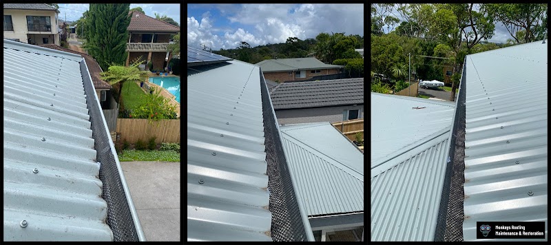 Monkeys Roofing project 10