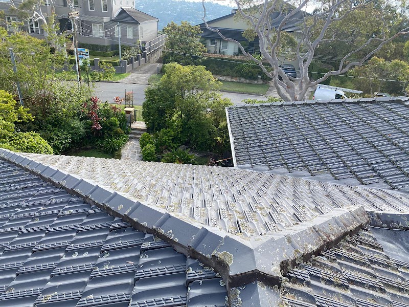 Monkeys Roofing - Northern Beaches work 2