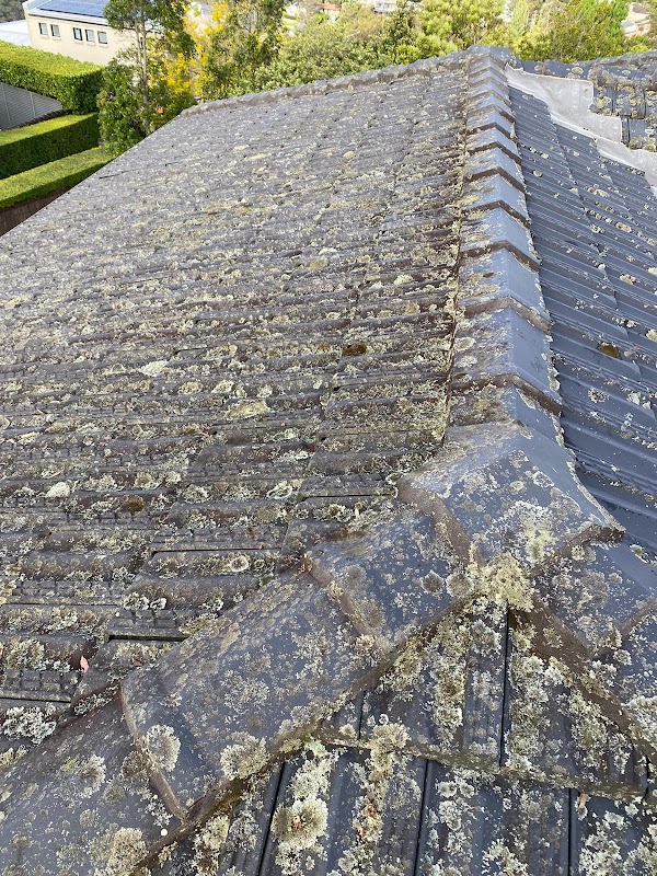 Monkeys Roofing - Northern Beaches project 8