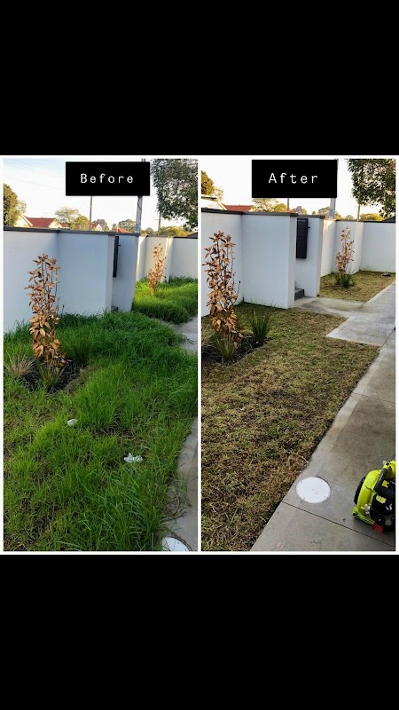 Mow It All + Gardening project 7