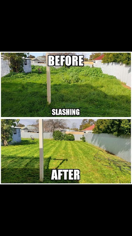 Mow It All + Gardening project 9