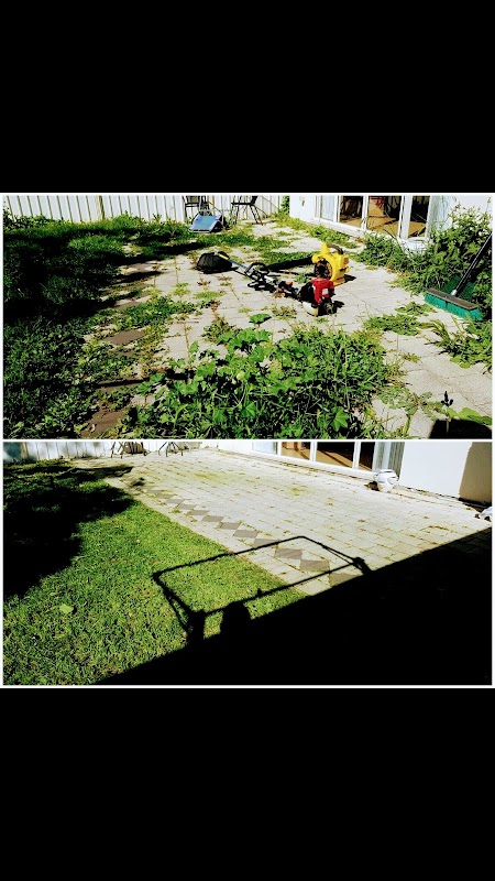 Mow It All + Gardening project 10