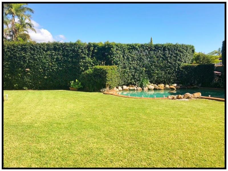Mow Worries lawns and garden care work 4