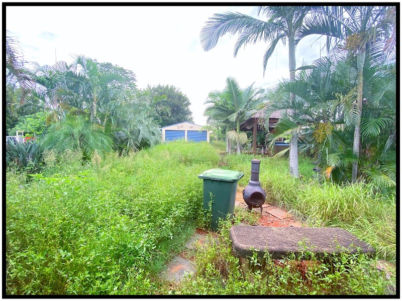 Mow Worries lawns and garden care project 9