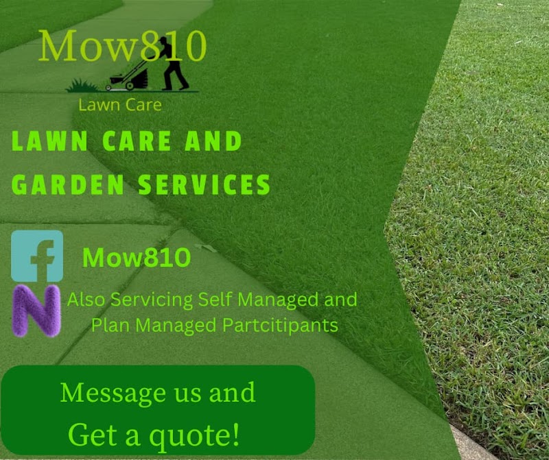 Mow810 work 4