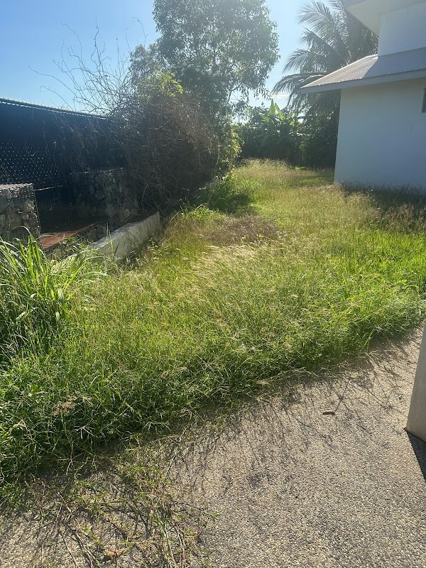 Mow810 project 6