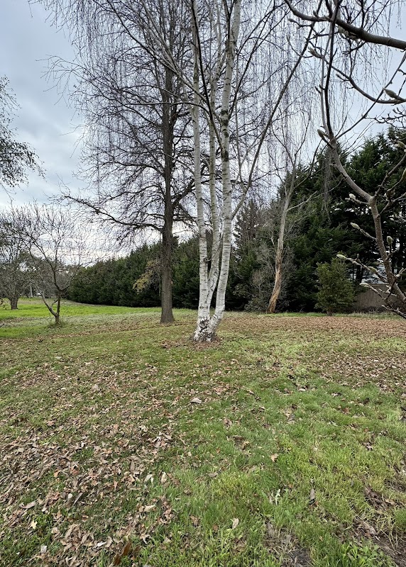 Mownation Lawns & Gardens (Mt Eliza) photo 1