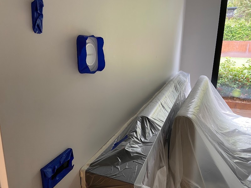 MPG Crowned Painting & Plastering project 10