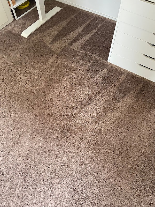 Mr Bee Cleaning l Carpet & Tile Cleaning Specialist photo 2