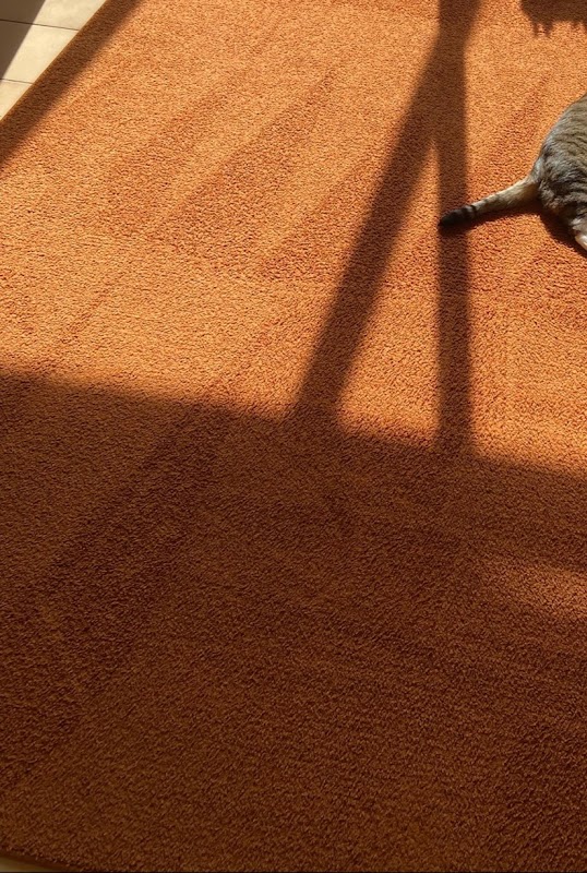 Mr Bee Cleaning l Carpet & Tile Cleaning Specialist project 6