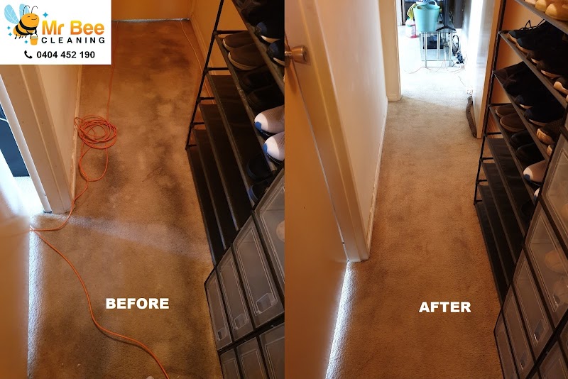 Mr Bee Cleaning l Carpet & Tile Cleaning Specialist project 10