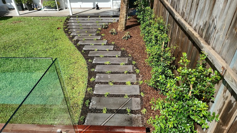 MSC Diggerscape project 10