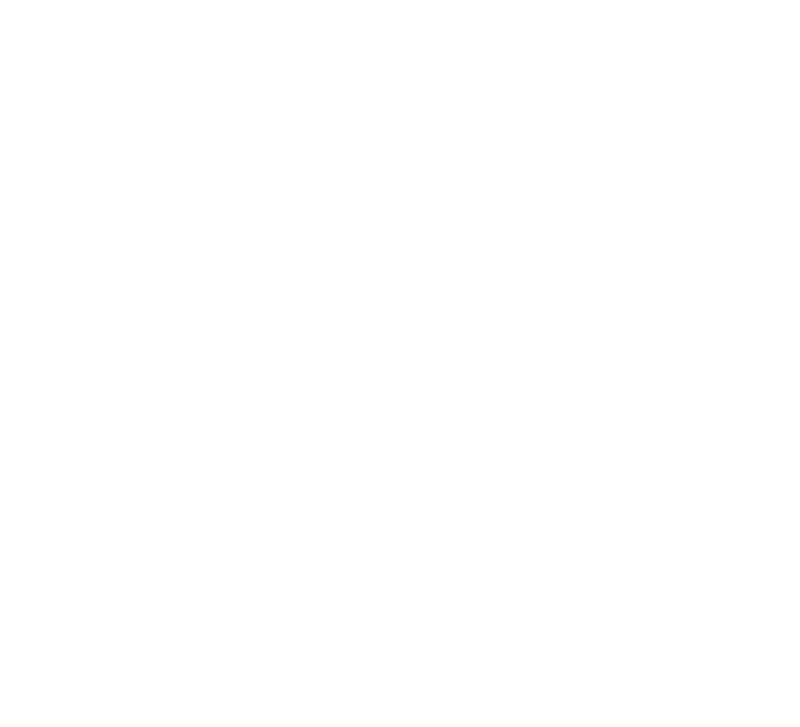 MT. LIVING project 5