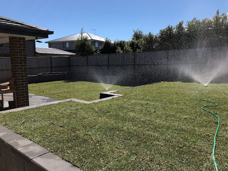 Natural Landscaping project 3