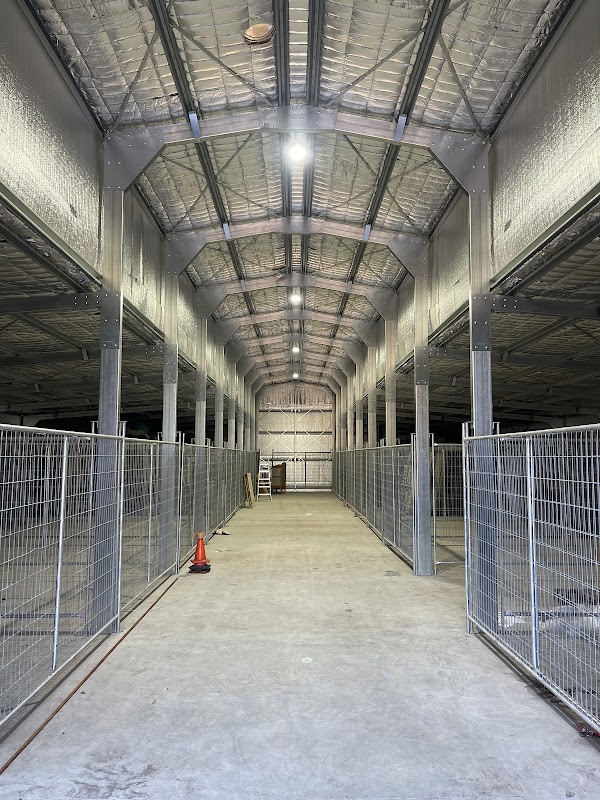 Ned Electrics work 1