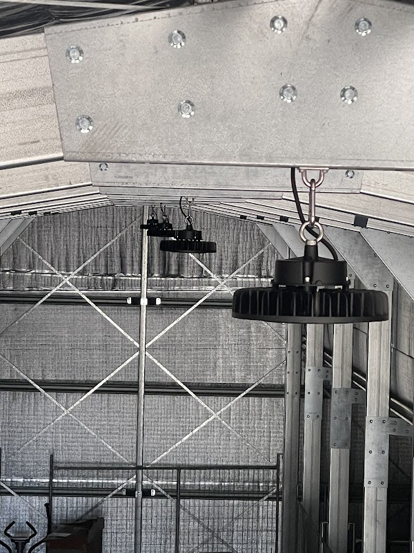 Ned Electrics work 4