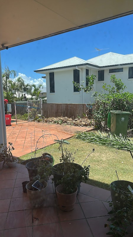 Neil's Tree Experts - Tree Lopper Redlands project 9