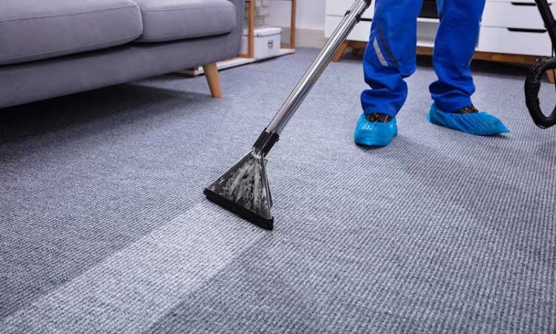 New Thushine Property Services work 1