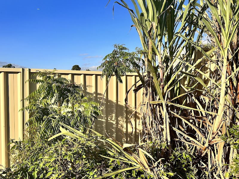 North Brissy Fencing photo 3