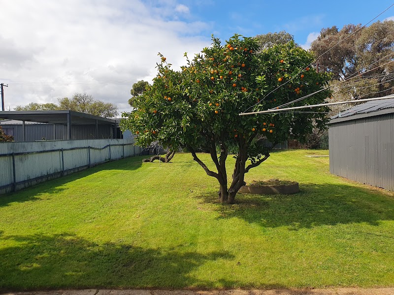north2south fencing & gardens project 5