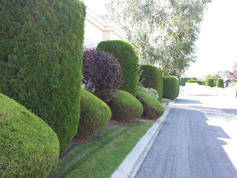 Northern Beaches Gardeners work 4