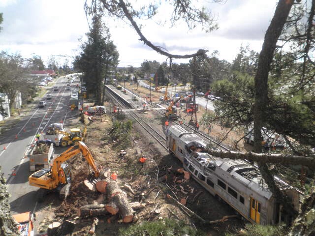 Northern Beaches Gardeners project 10