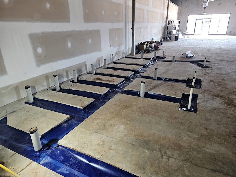 Northern Rock Pest Control project 7