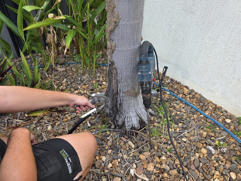 Northern Rock Pest Control project 8