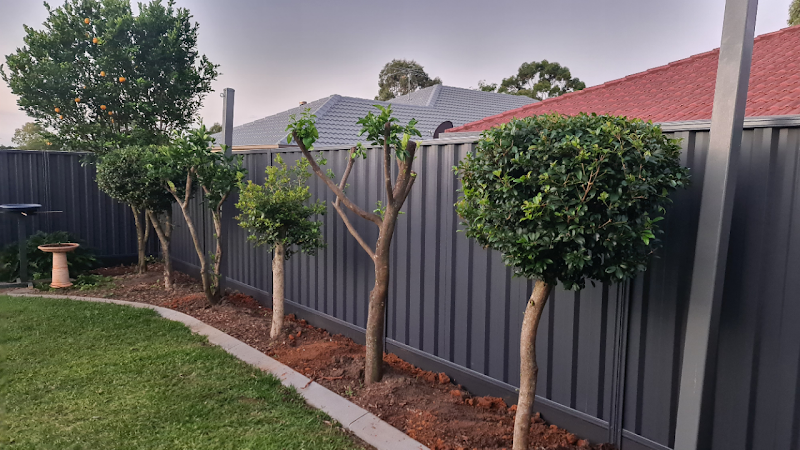 Northside Fencing project 8