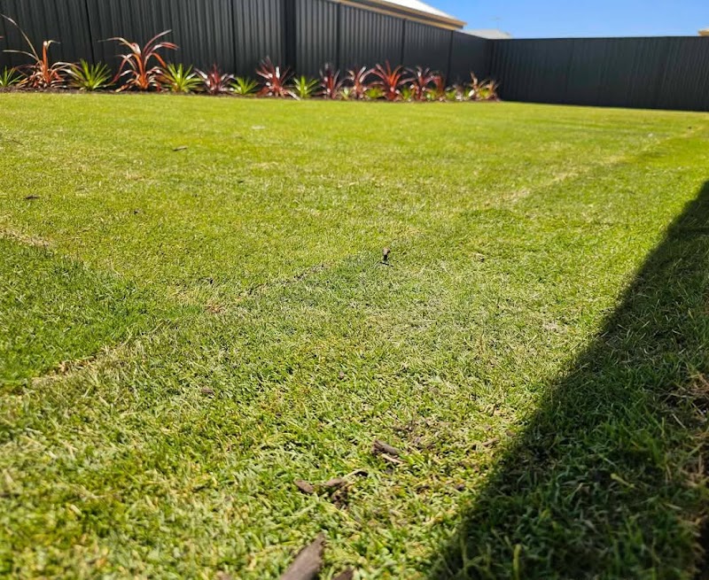 NPG&L Landscaping project 7