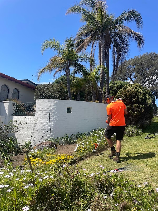 Nurture Garden Maintenance photo 1