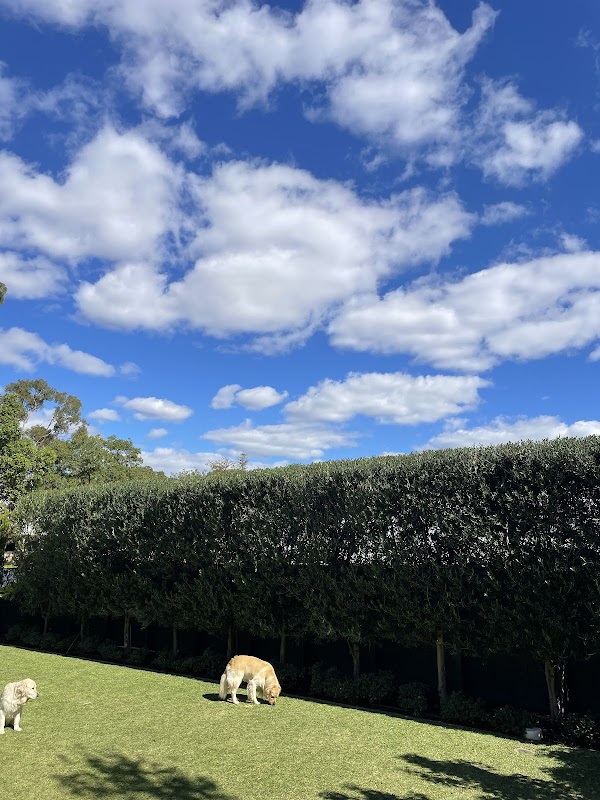 Nurture Garden Maintenance photo 2