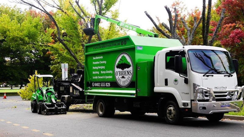 O'Briens Tree Services Canberra work 1