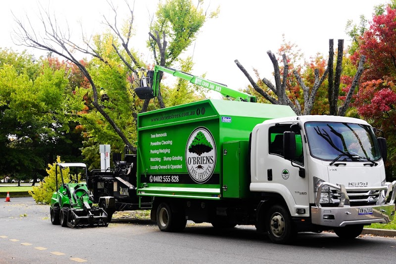 O'Briens Tree Services Canberra work 2