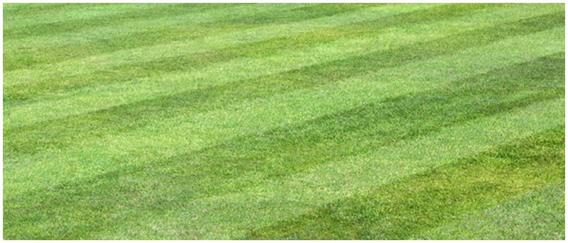 O'Meara's Lawn Mowing Service work 1